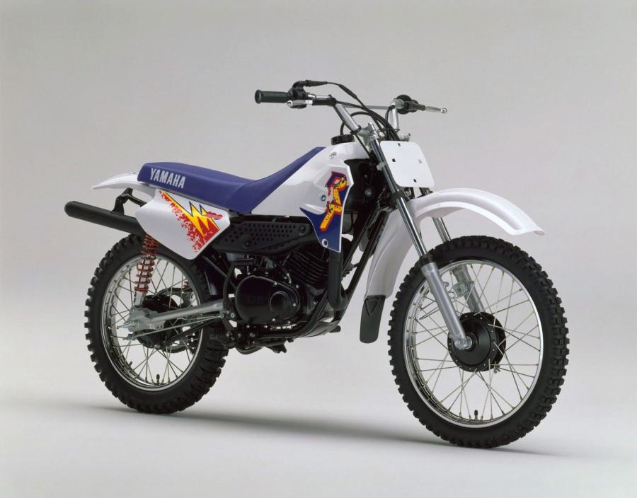 Yamaha RT100